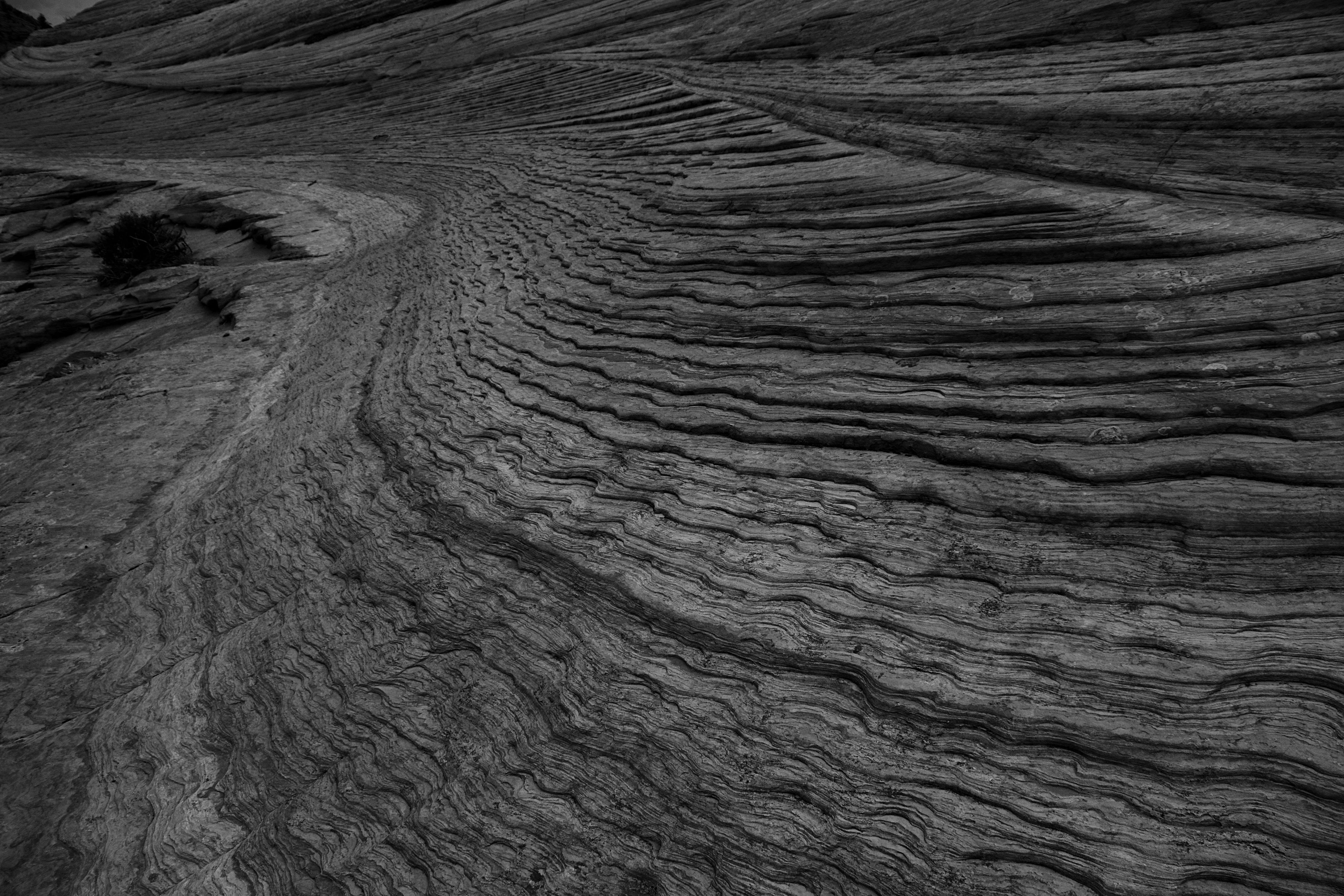 a black and white image of the crazy texture rocks can form